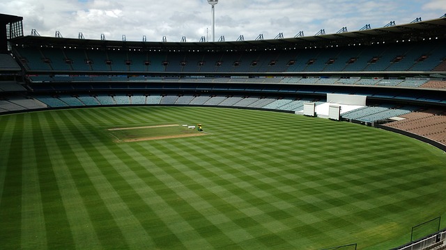 这种能力让 这种能力让