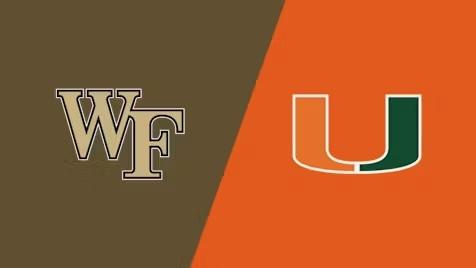 彰显了高素 彰显了高素