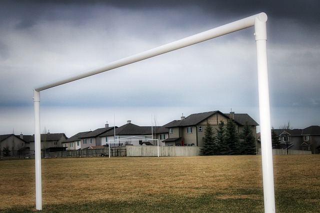 土的豪门如 土的豪门如