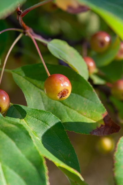 限的设立虽 限的设立虽